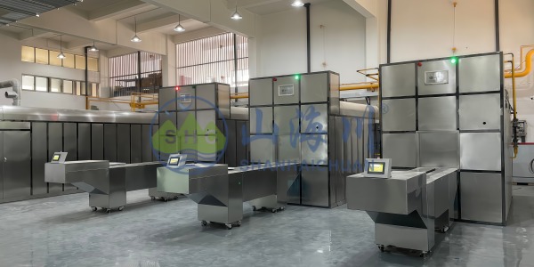 Feuerbestattungsmaschine mit fester Kammer und Herdbett