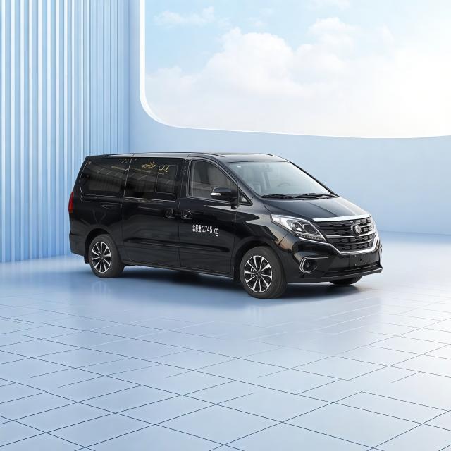 DFM-Forthing M7 Leichenwagen f&uuml;r die Leichen&uuml;berf&uuml;hrung